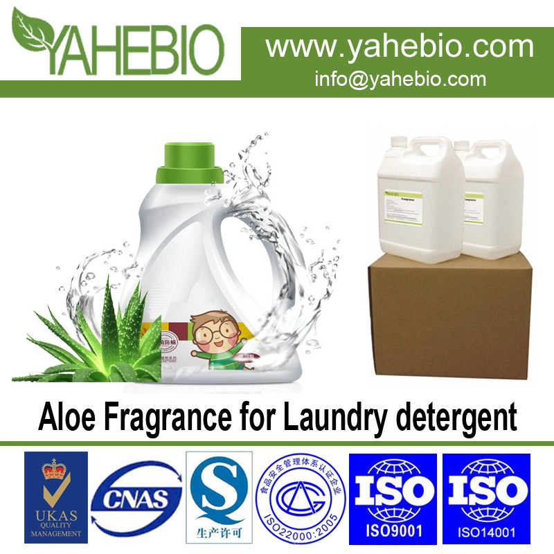 Aloe Zapach dla detergentu do prania
