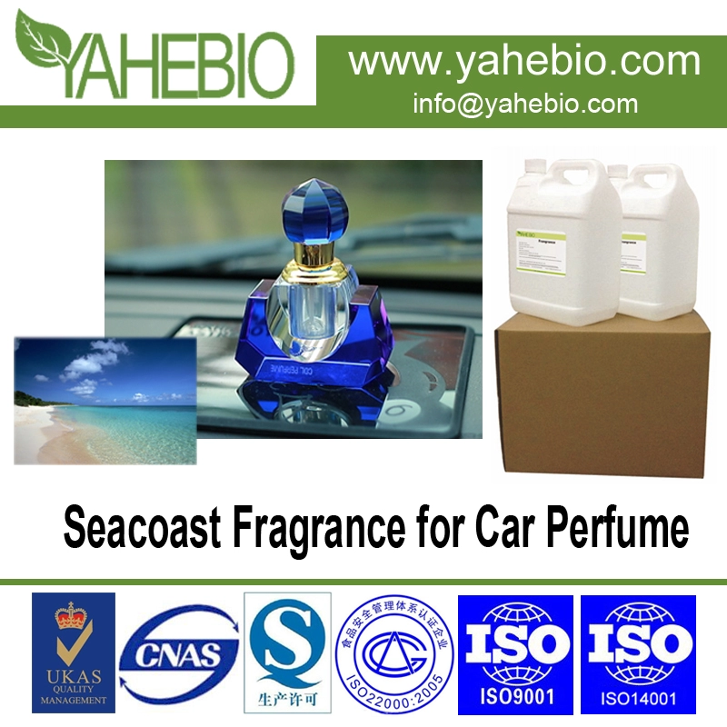 Zapach wybrzeża na auto perfumy