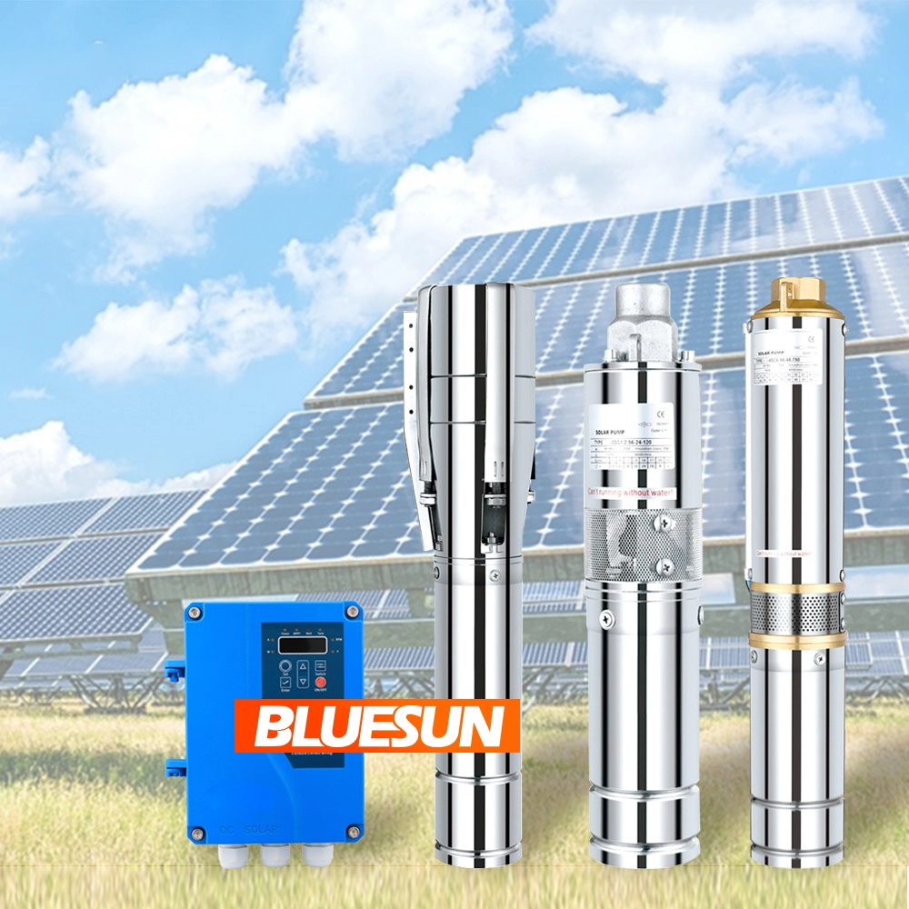 Opłacalna pompa solarna Kenii 24V 48 V 600W Small DC Solar Water Pump System z kontrolera