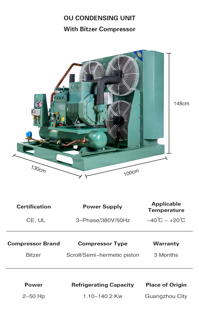 Bitzer Condensing Unit