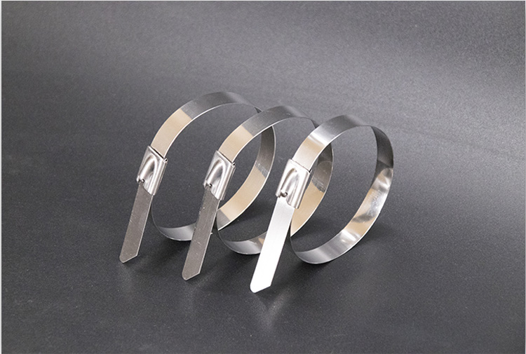 Coated Stainless Steel Cable Ties