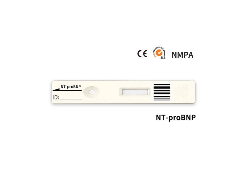 Szybki test ilościowy NT-proBNP