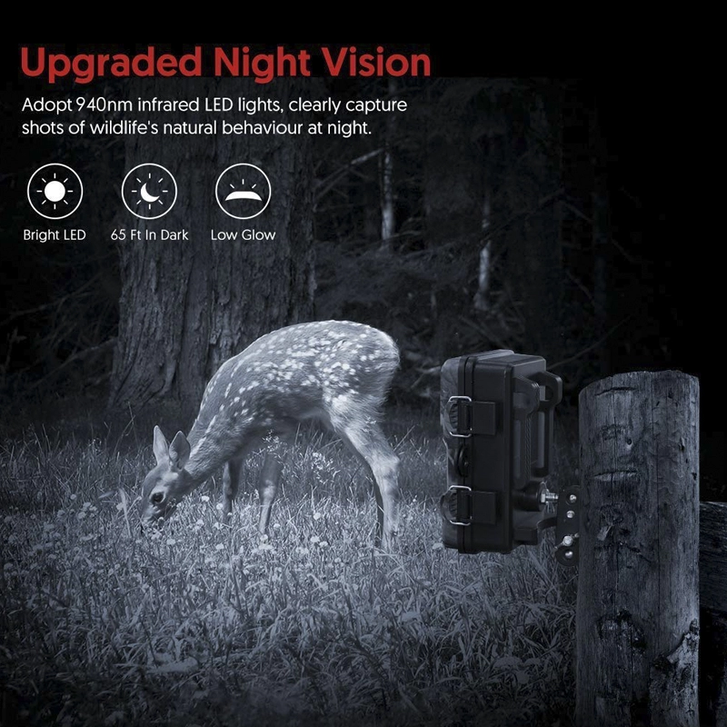 Kamery obserwacyjne w wersji bez świecącej nocy dla poziomu podstawowego