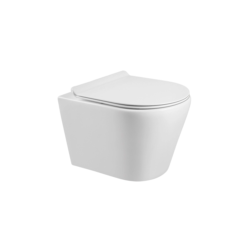 Nowoczesna biała ceramiczna toaleta naścienna