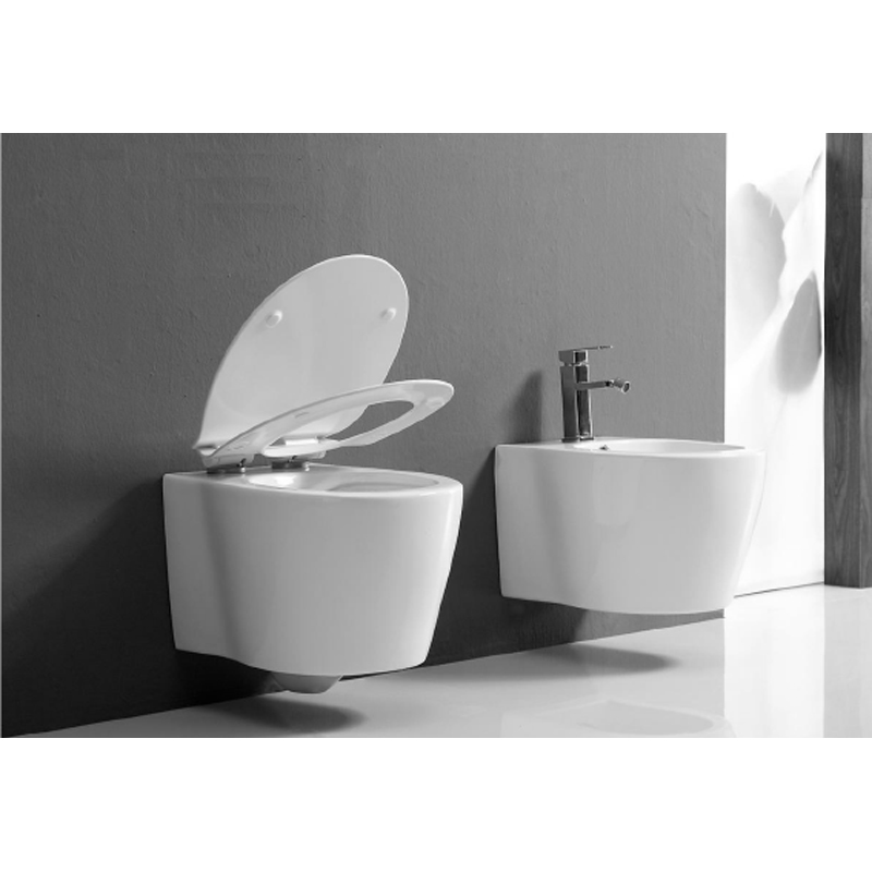 wall_mounted_white_ceramic_bidet_Wand-Hänge_WC_set_Hangbidet-set_NEUNAS_T321B (3)