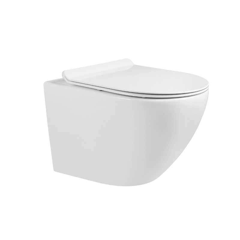 Nowoczesna biała ceramiczna toaleta naścienna