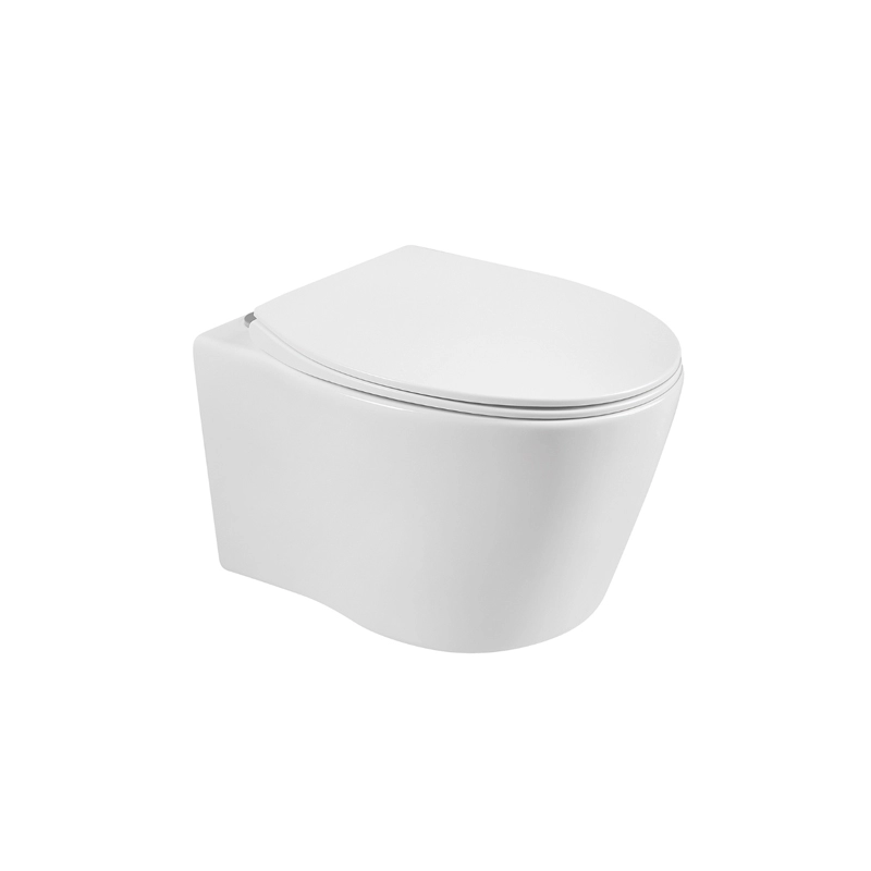 Nowoczesna biała okrągła ceramiczna toaleta wisząca