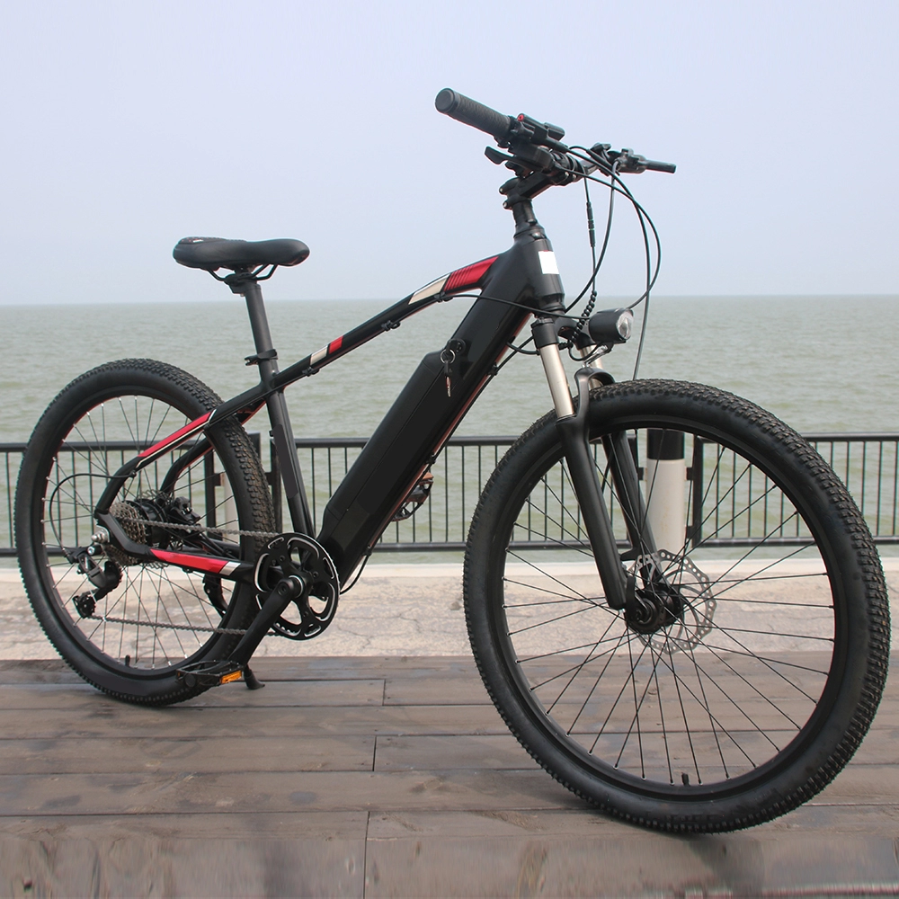 36V 48V 250W wspomaganie pedałowania e moc cykl akumulatorowy człowiek 350W rower elektryczny 750W dorośli ebike najlepszy elektryczny rower górski na sprzedaż