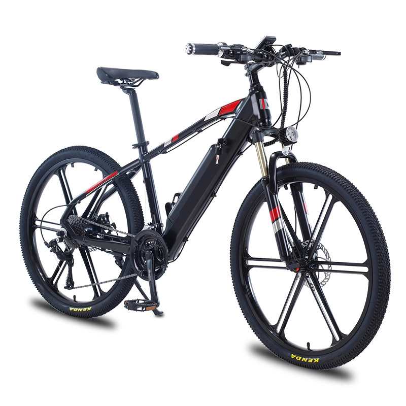 36V 48V 250W wspomaganie pedałowania e moc cykl akumulatorowy człowiek 350W rower elektryczny 750W dorośli ebike najlepszy elektryczny rower górski na sprzedaż