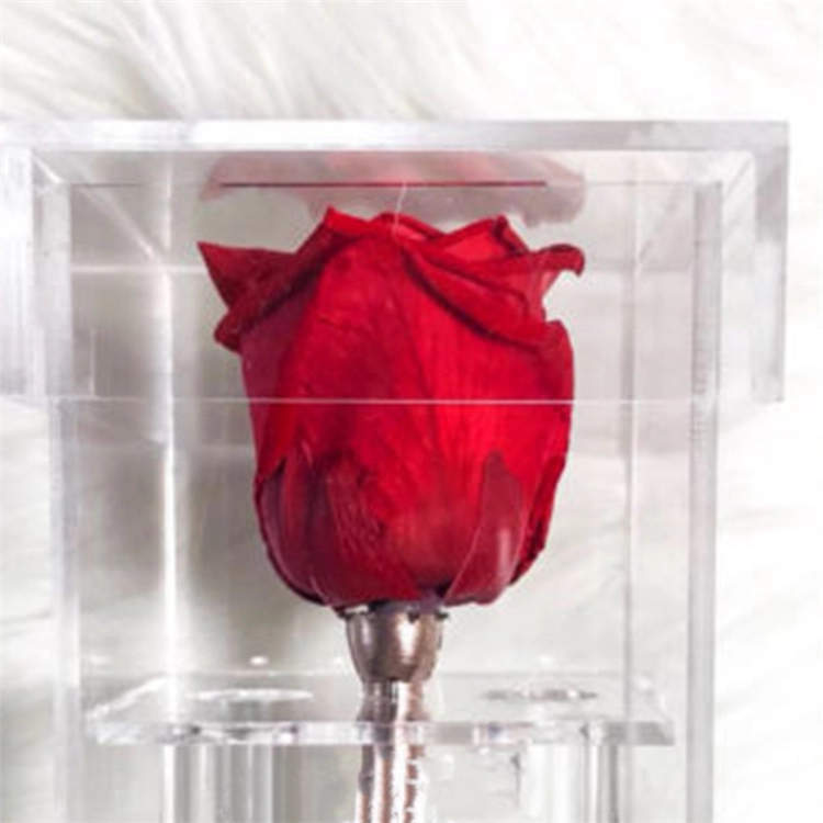 Wysokiej jakości kwadratowe, pyłoszczelne akrylowe pudełko z różami