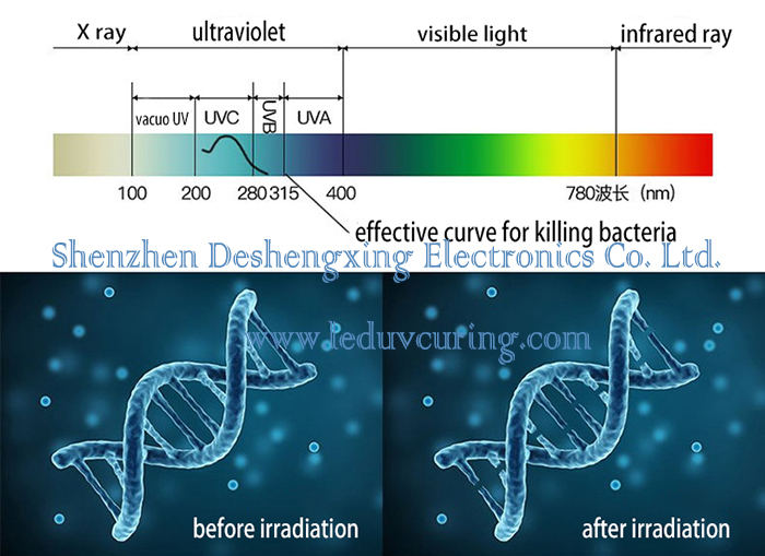 Ręczny aparat dezynfekcyjny UV LED do sterylizacji Przenośna lampa UVC LED zabijająca bakterie