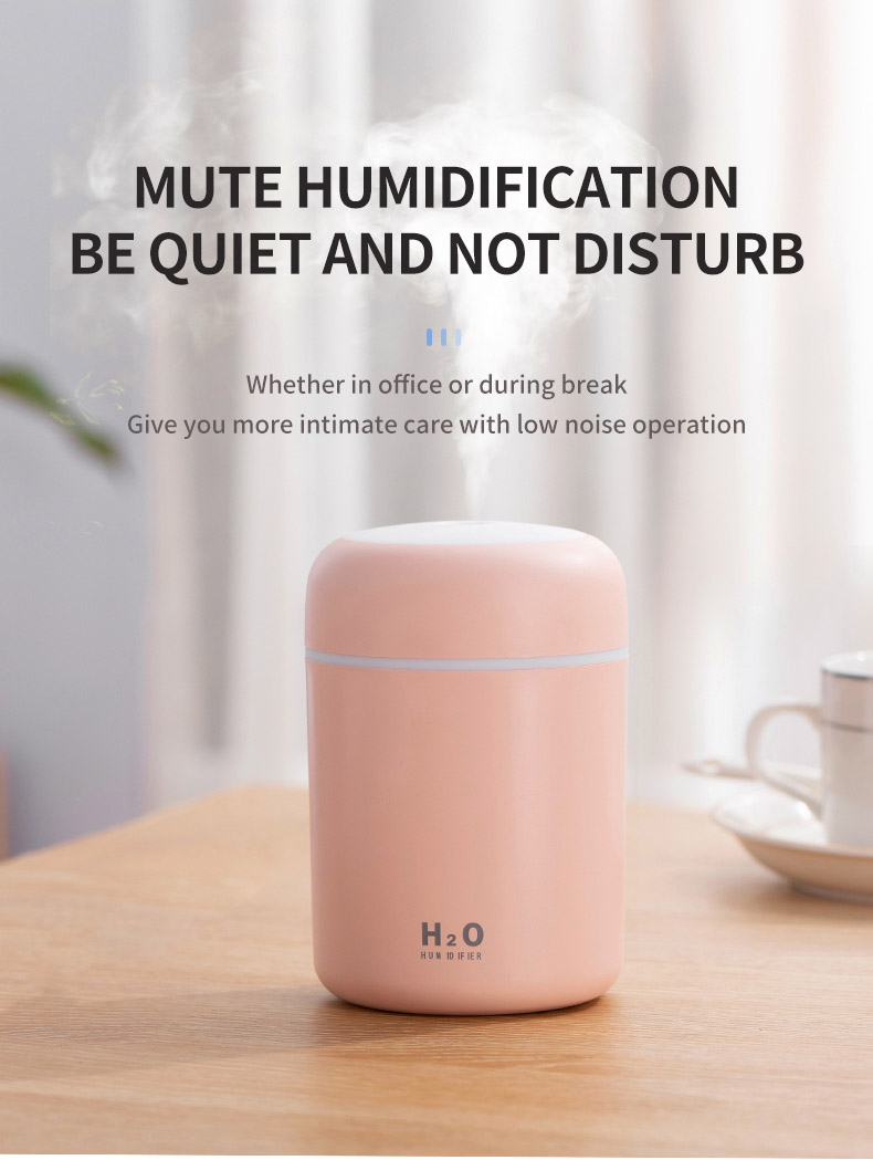 Mute humidifier