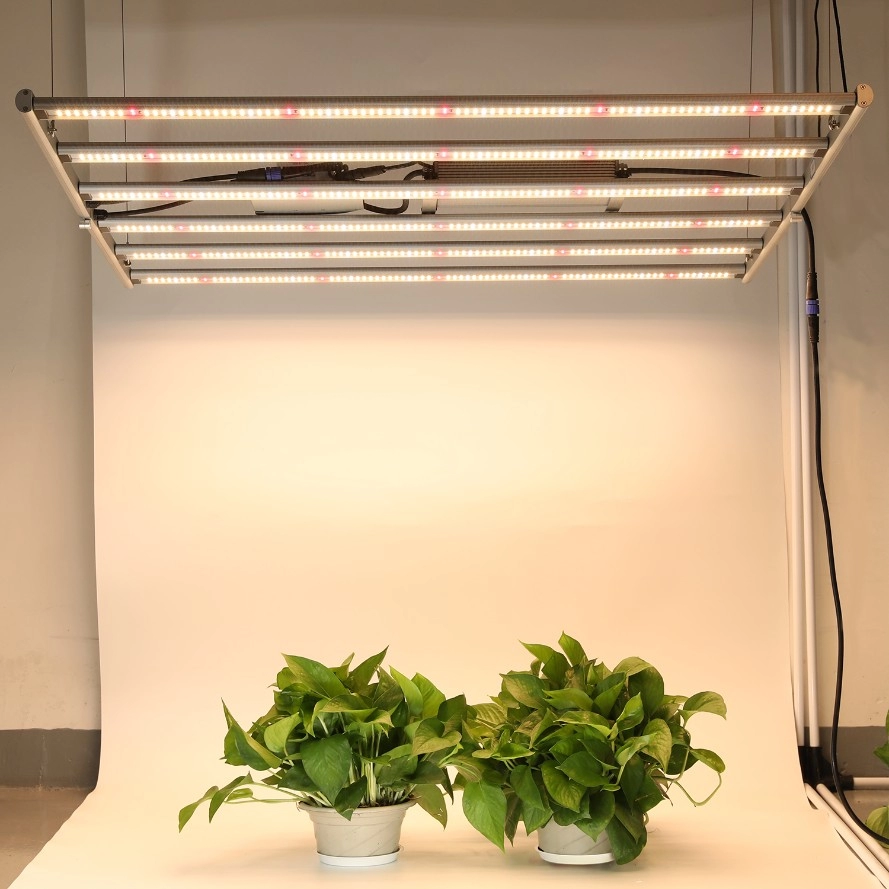 600W składane oświetlenie LED do uprawy roślin warzywnych z zewnętrznym sterownikiem