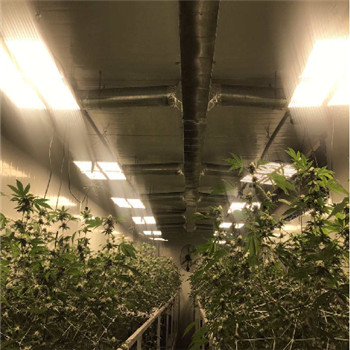 Wodoodporne oświetlenie wewnętrzne IP65 o wysokiej wydajności LED do wzrostu roślin