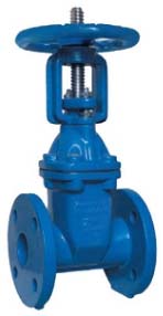 Cast iron OSY rubber seat gate valve