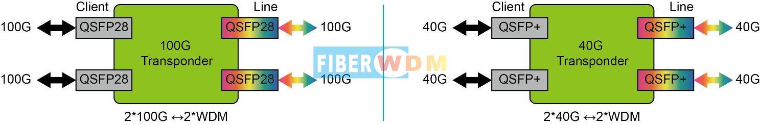 100G Transponder OEO