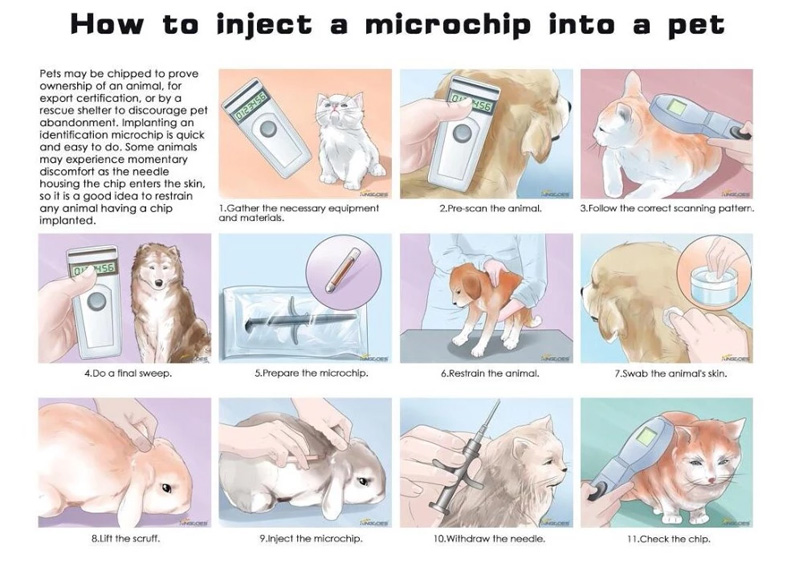 Wstrzyknij znaczniki z mikrochipem RFID do zwierzaka