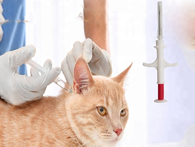 Implant mikrochipowy dla kota
